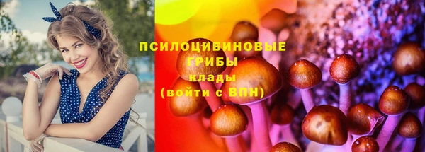 стафф Алзамай