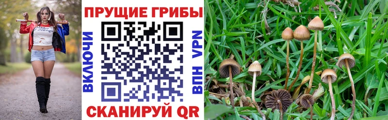 Псилоцибиновые грибы Magic Shrooms  даркнет сайт  Усинск 