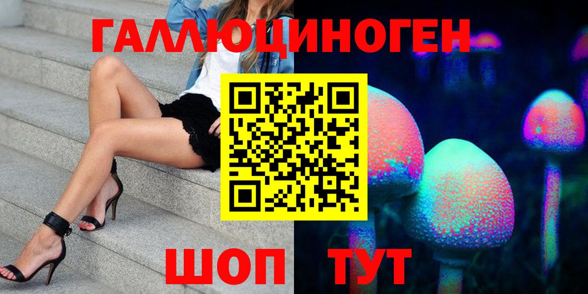 Псилоцибиновые грибы Psilocybe Усинск